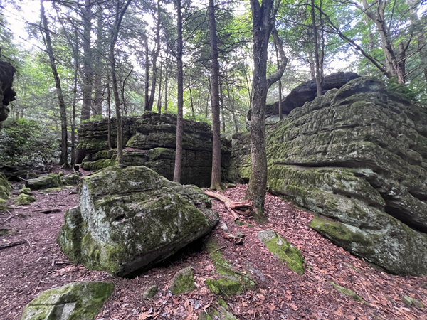 Bilger's Rocks