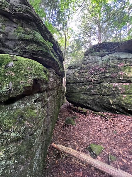 Bilger's Rocks