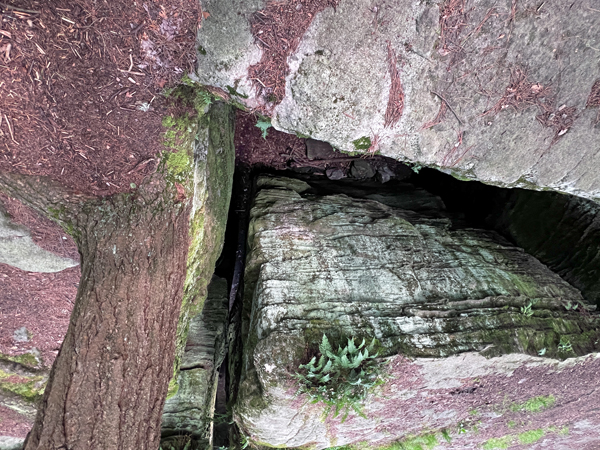 upper area of Bilger's Rocks