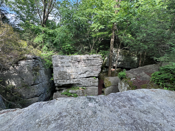 view from top of the rocks