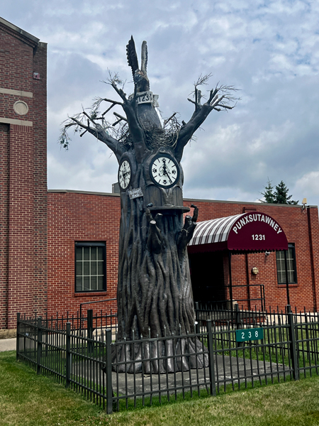 Punxsutawney tree clock