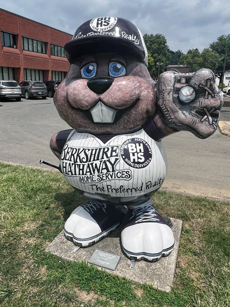 ball park groundhog