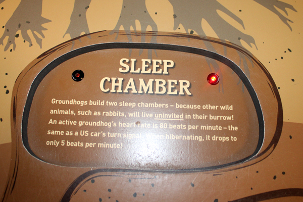 sleep chamber