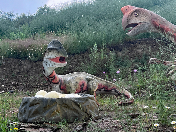 dinsaurs and eggs