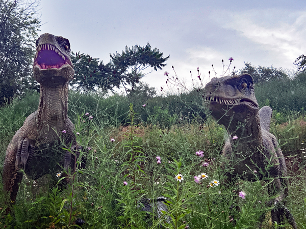 two dinosaurs and flowers