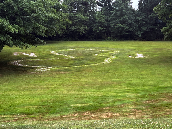 shape of NJ eteched in the grass