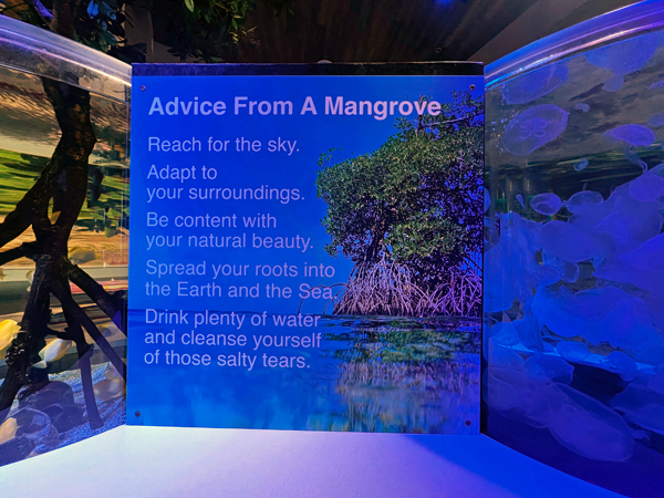 Mangrove sign