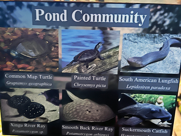 Pond Community sign