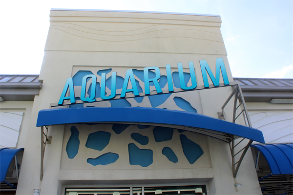 Jenkinson's Aquarium