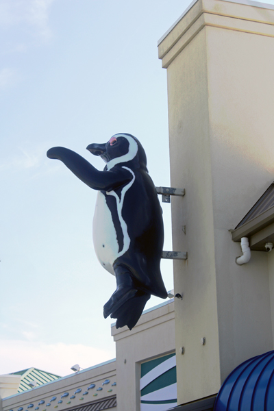 penquin on the building