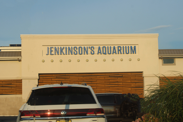 Jenkinson's Aquarium