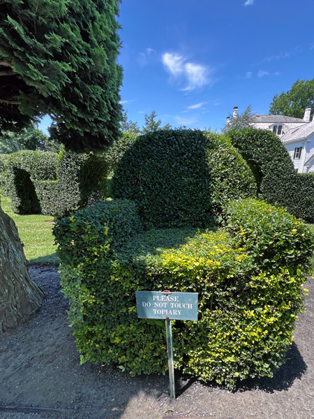 chair at The Green Animals Topiary Garden