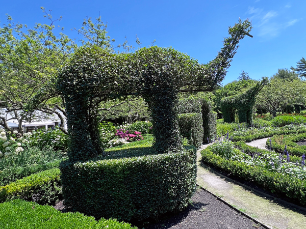 animal shape at The Green Animals Topiary Garden