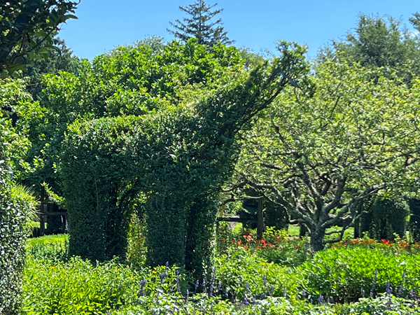 animal shape at The Green Animals Topiary Garden