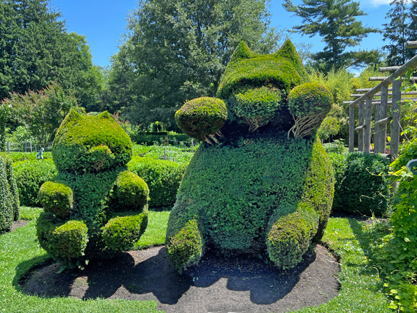 bears at animal shape at The Green Animals Topiary Garden