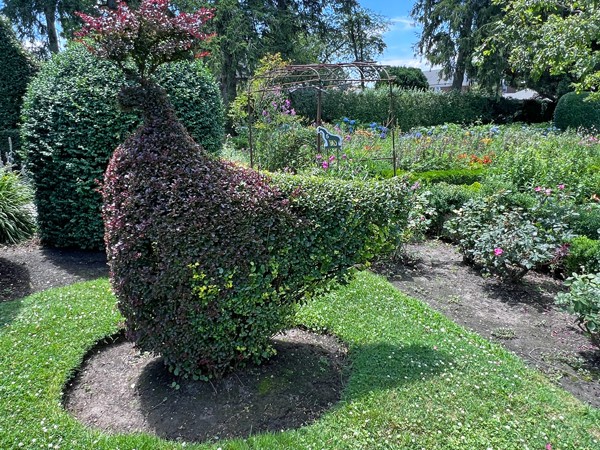 animal shape at The Green Animals Topiary Garden