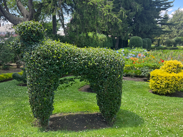 animal shape at The Green Animals Topiary Garden