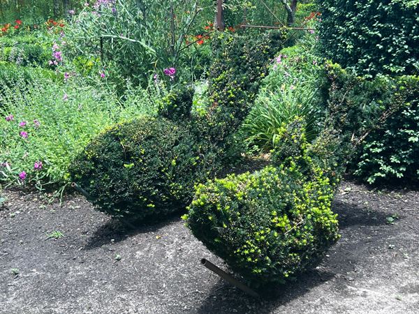 animal shape at The Green Animals Topiary Garden