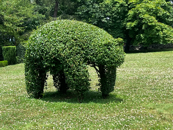 animal shape at The Green Animals Topiary Garden