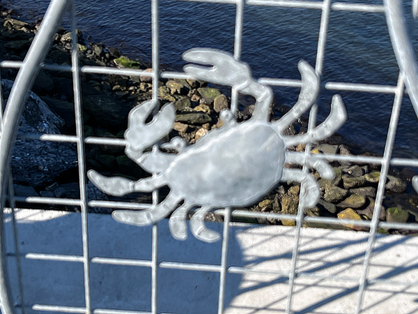 crab on the railing