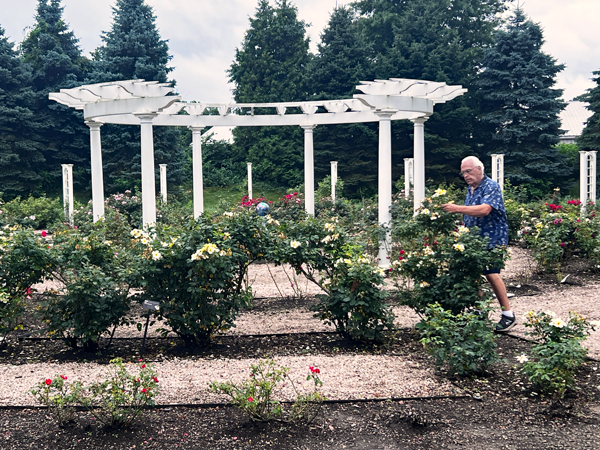 Lee Duquette in the  Rose Maze Garden