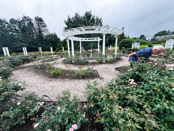 Lee Duquette in the  Rose Maze Garden