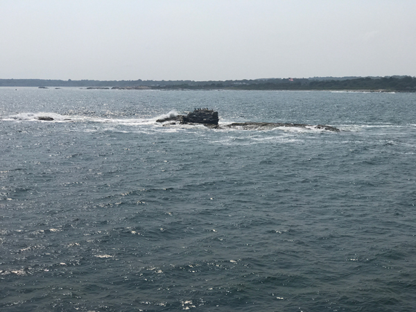 A sort-of-big rock with lots of birds on it