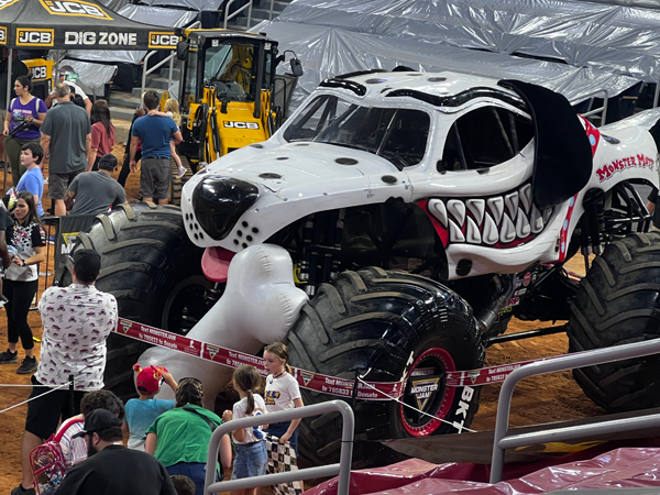 Monster Mutt Dalmatian