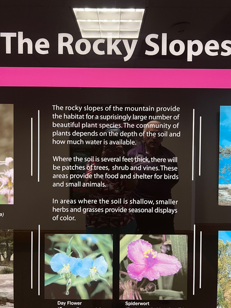 sign about the Rocky Slopes