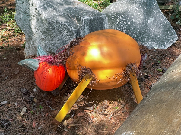 Devils face on a pumpkin