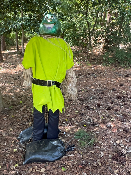 scarecrow pumpkin with a green face