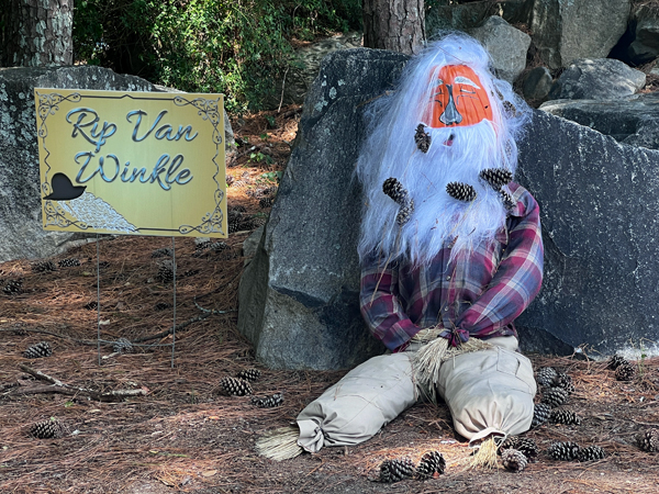 Rip Van Winkle pumpkin