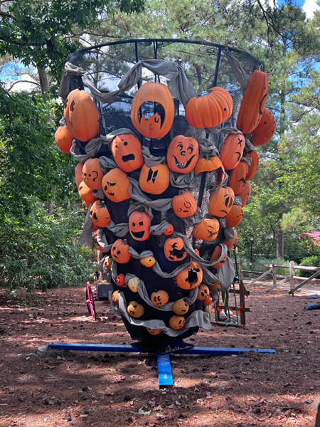 a basket full of pumpkins