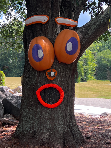 a face on a tree