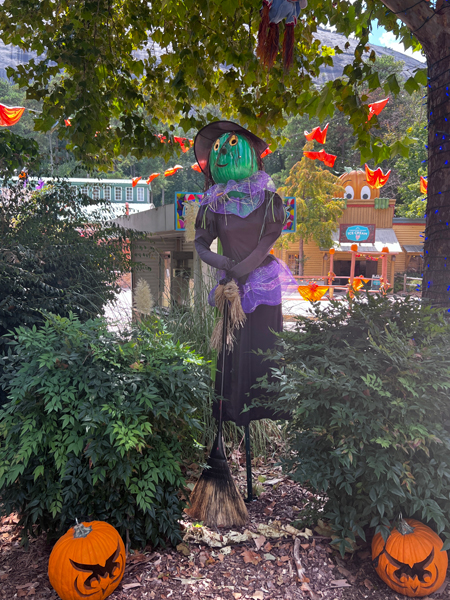 a witch and two pumpkins