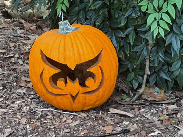 close=up of one of the pumpkins