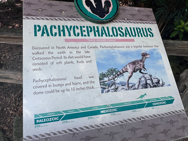 Pachycephalosaurus informative sign