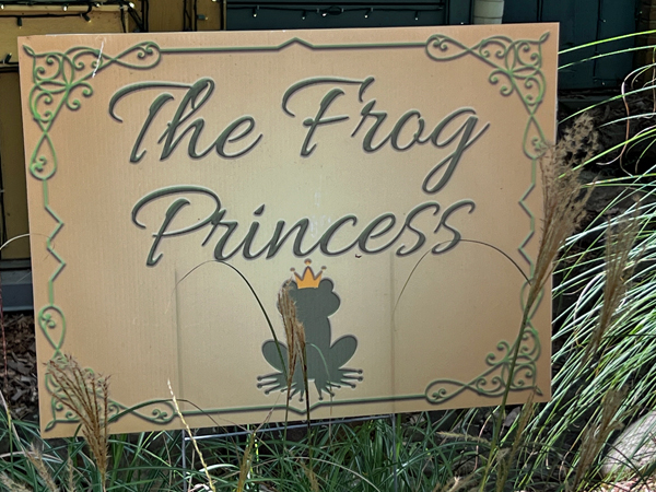 Frog Princess sign