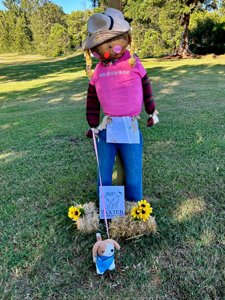 Baxter Veterinary Clinic scarecrow 134