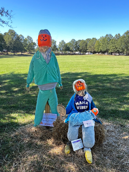 Piedmont Medical Center Fort Mill 146 scarecrows