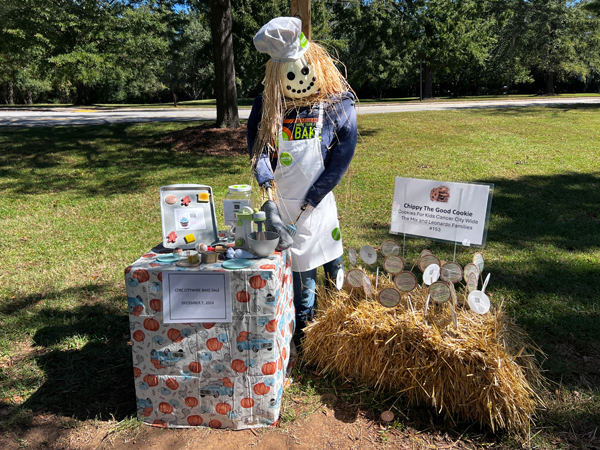 Cookies for Kids Cancer City Wide scarecrow 153