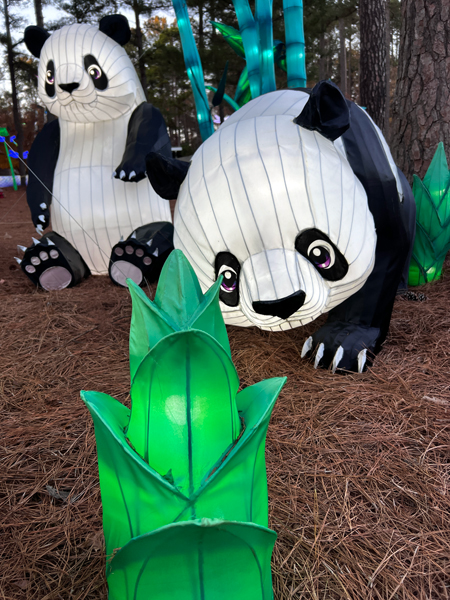 pandas