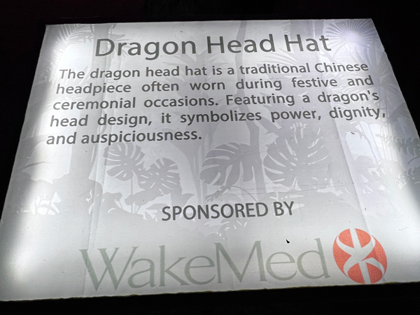 Dragon Head Hat sign