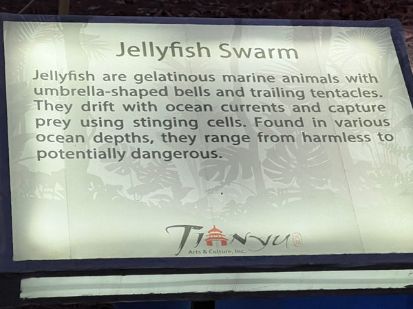 Jellyfish Swam sign