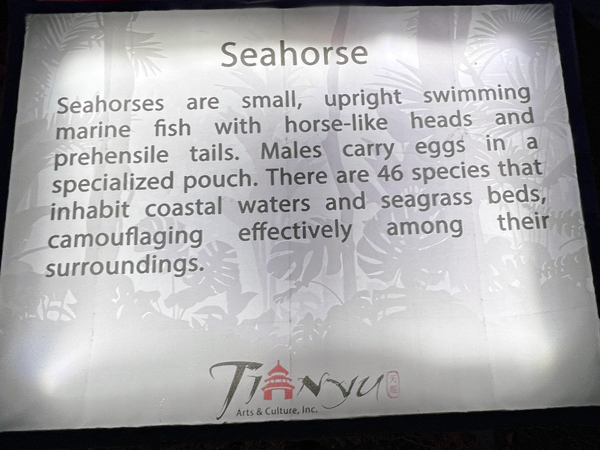 seahorse sign