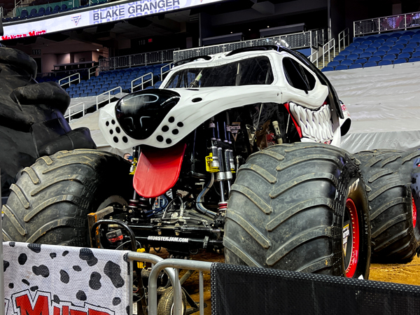 Monster Mutt Dalmation