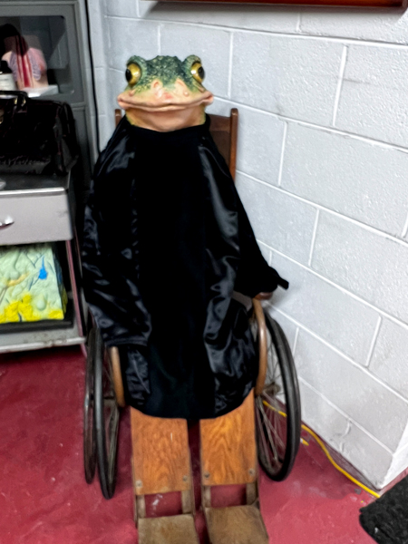 frog head person in wheelchair