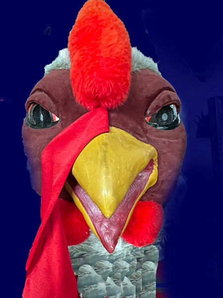 rooster head