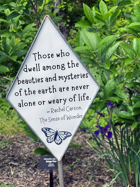 nature sign