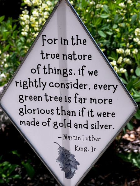 nature sign